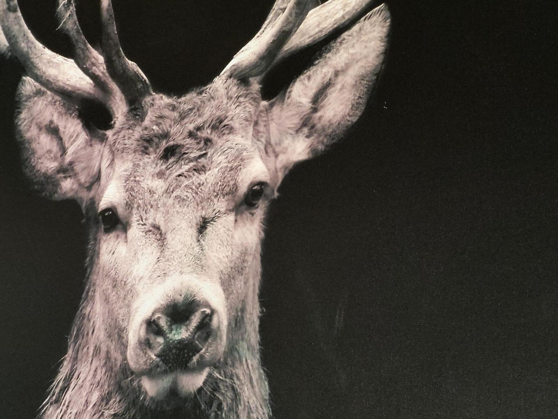 Couples Gem - Sensational views Nr Morzine