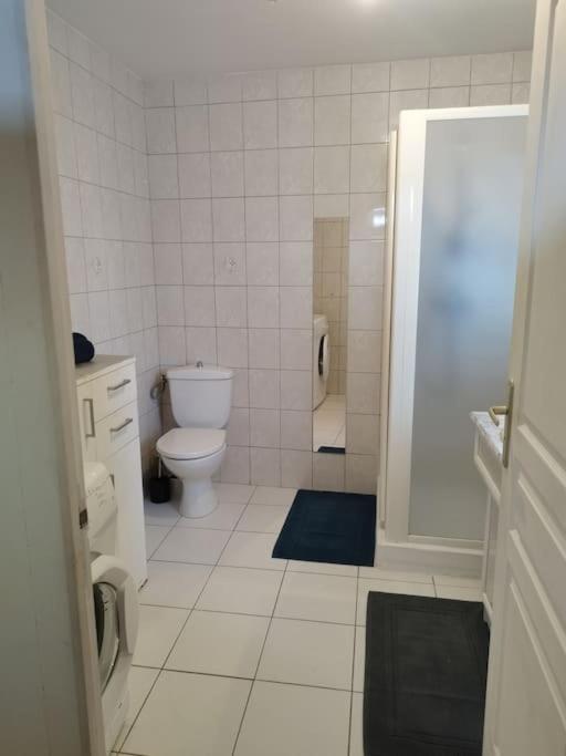 L'hirondelle du faubourg