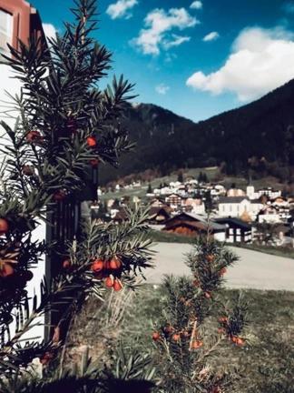 Hotel Daneu Gaschurn