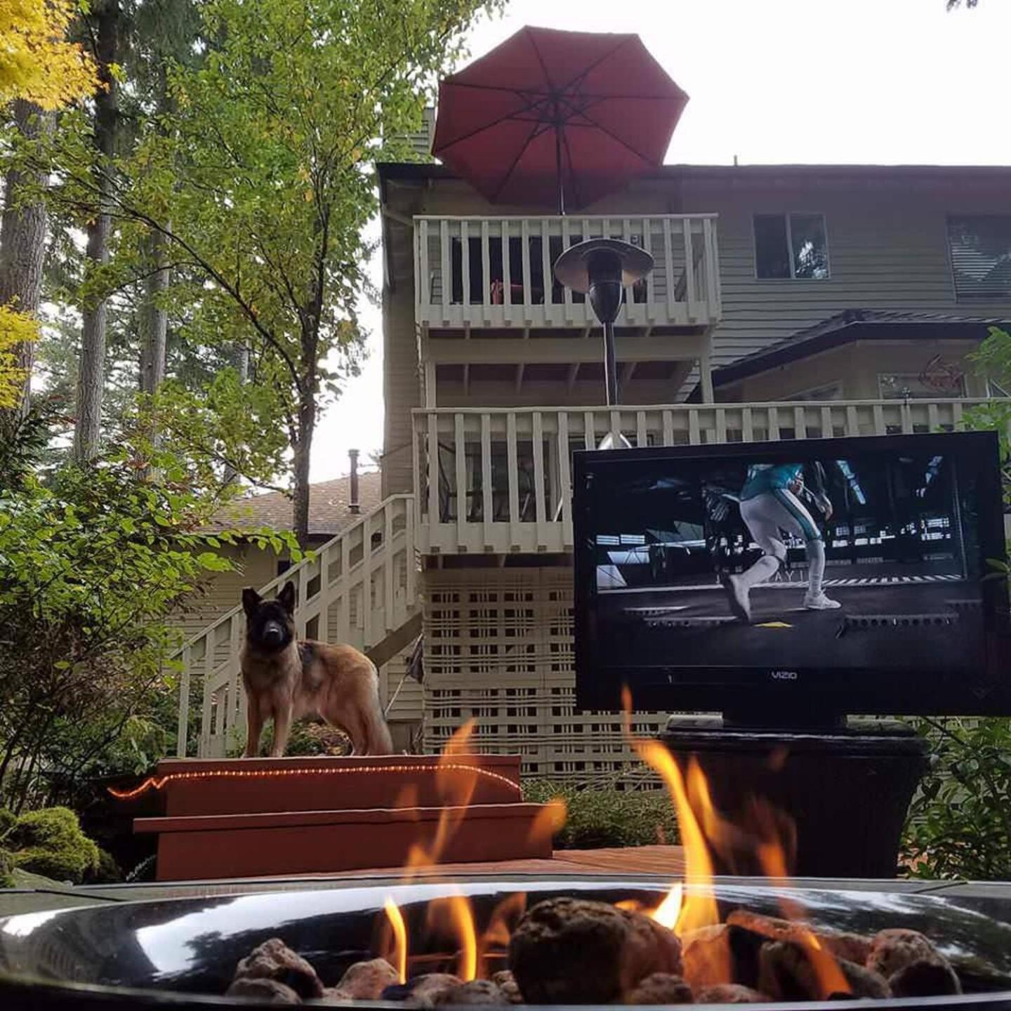 Forest & City Views - Near Portland, Nike & Intel