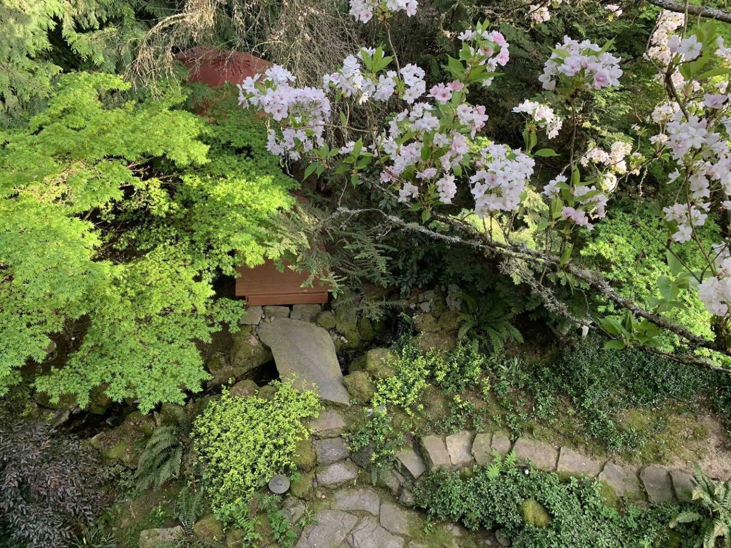 Forest & City Views - Near Portland, Nike & Intel