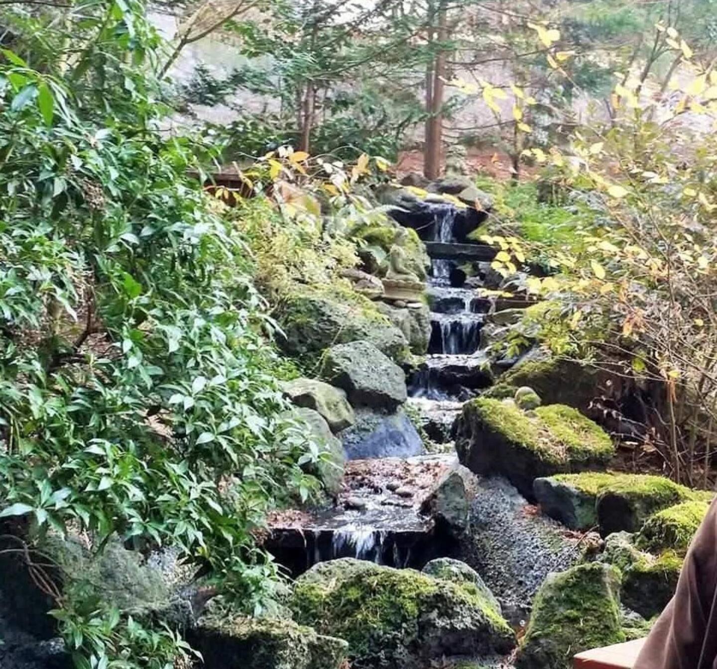 Forest & City Views - Near Portland, Nike & Intel