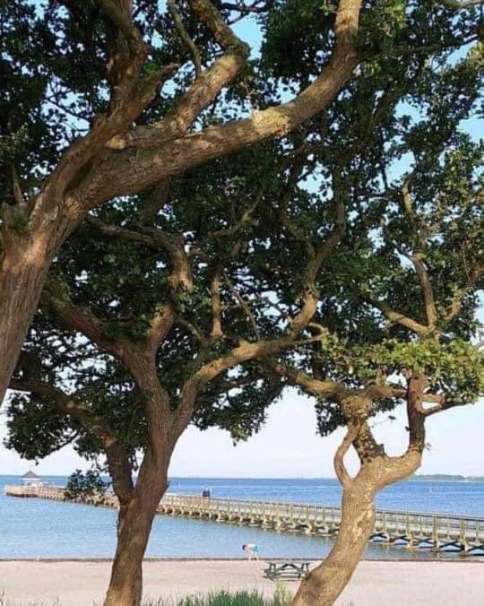 Nakskov Fjord Camping & Cottages