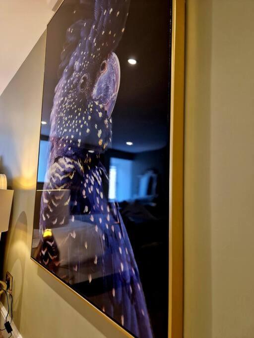 Hamilton - Lord William