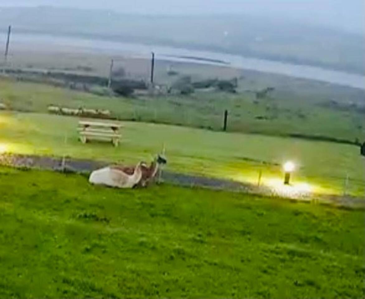 The Lazy Llama Farm Stay Shepherd Hut