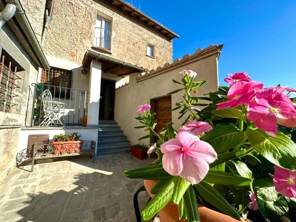 L'Archetto su Civita