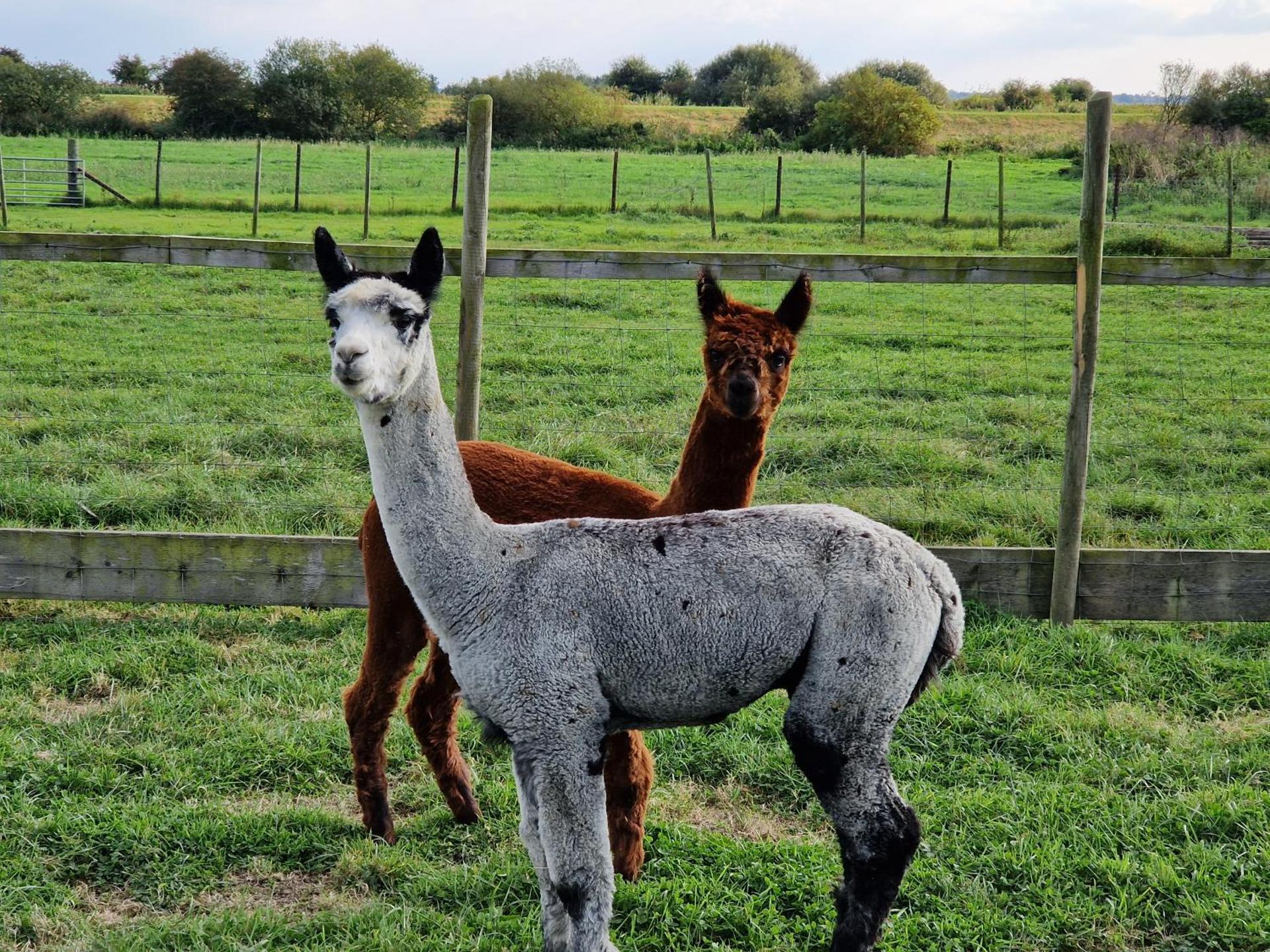 seven acre farm campsite