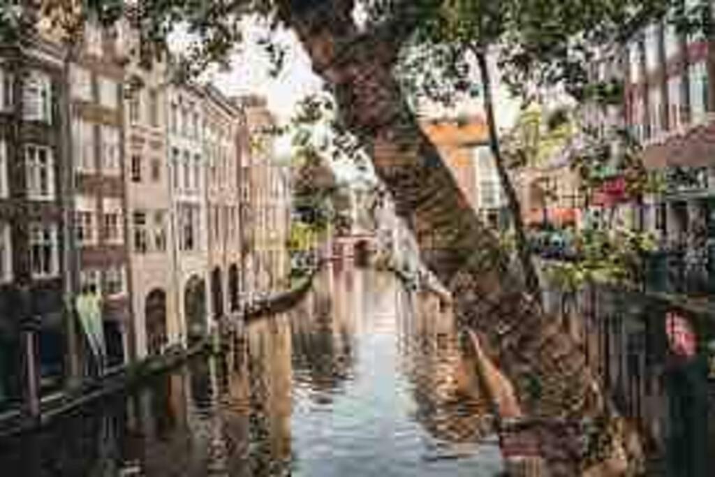 Loft met veel zonlicht