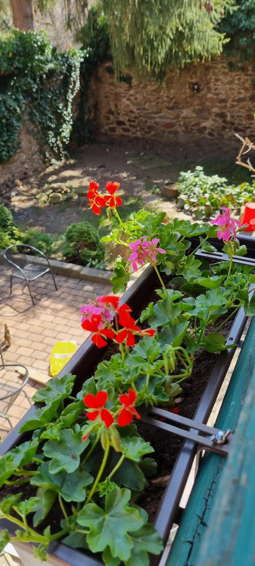 Konšelský šenk Domažlice