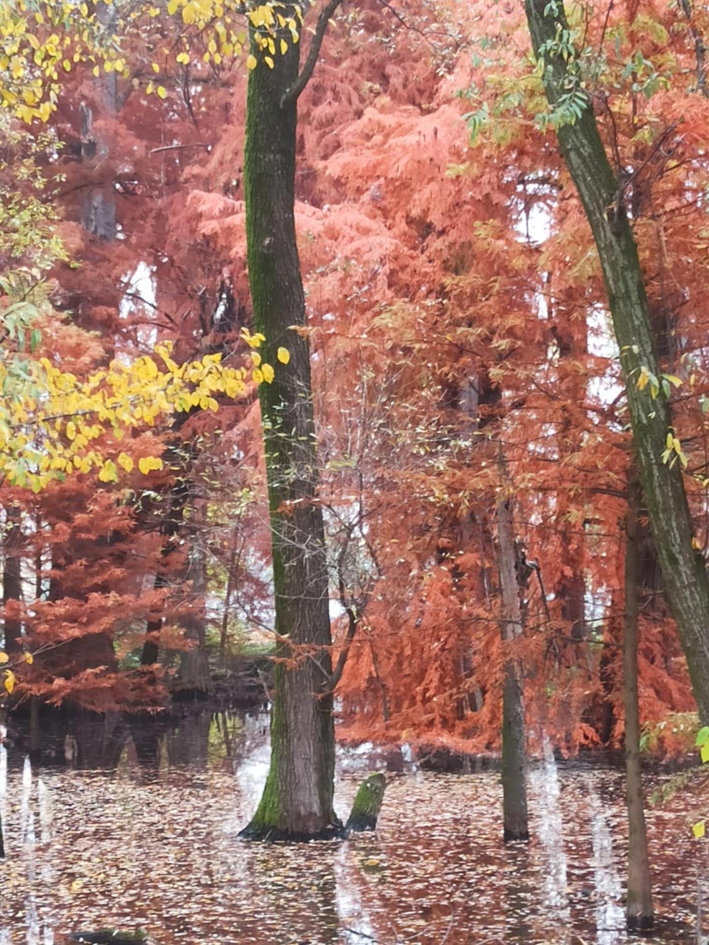 Holiday house - Leo & Malù