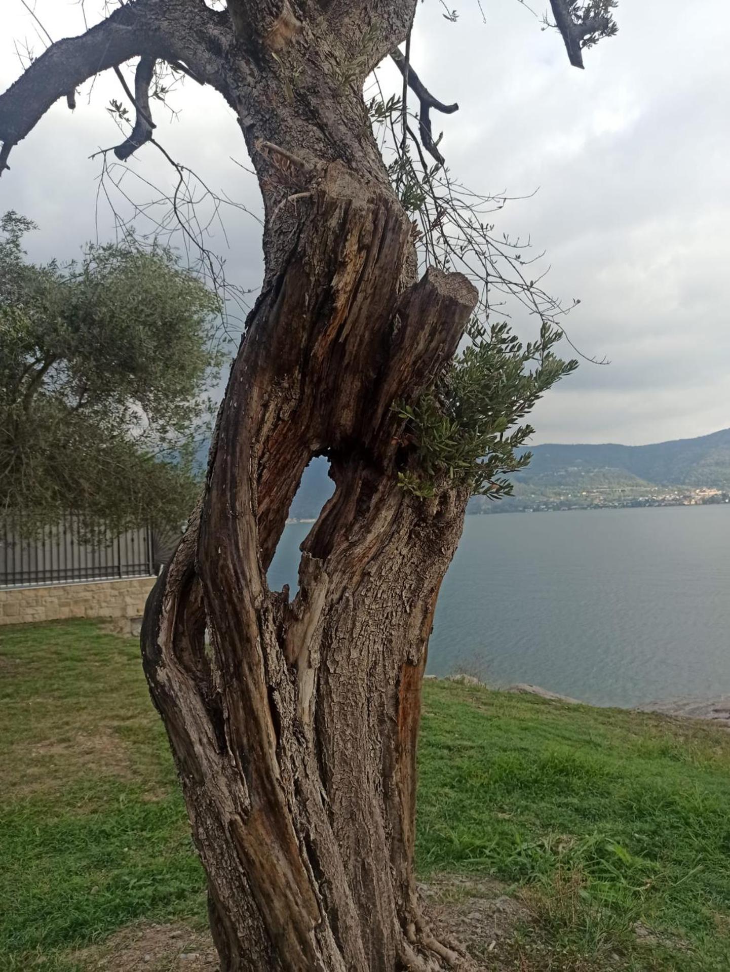 Holiday house - Leo & Malù