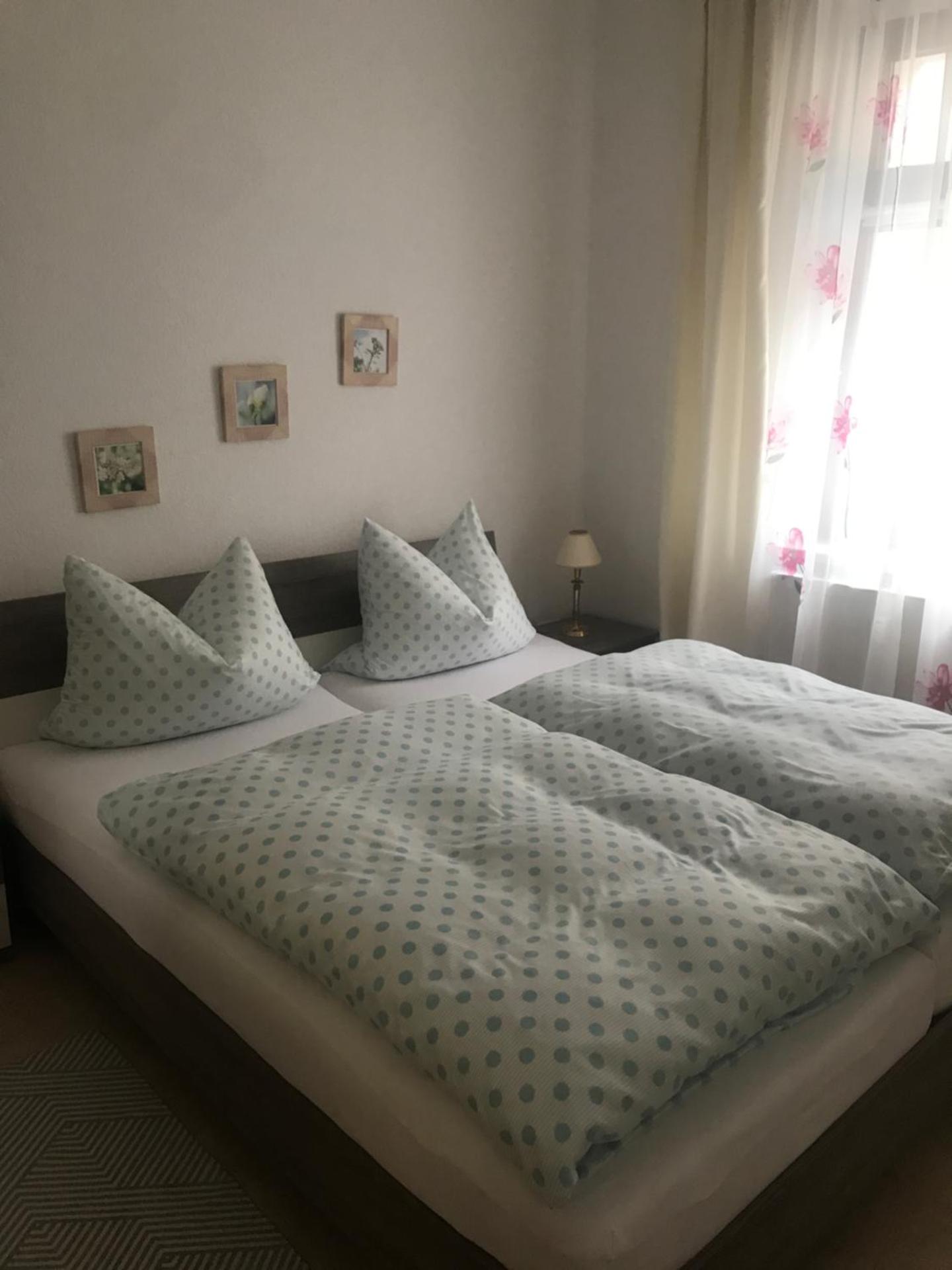 Ferienwohnung über Greiz