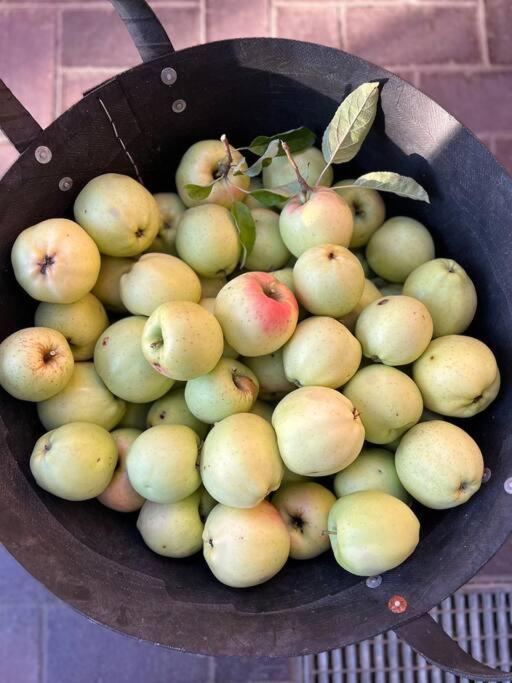 FeWo Hof-Idyll mit FassSauna / Spielplatz für Kids