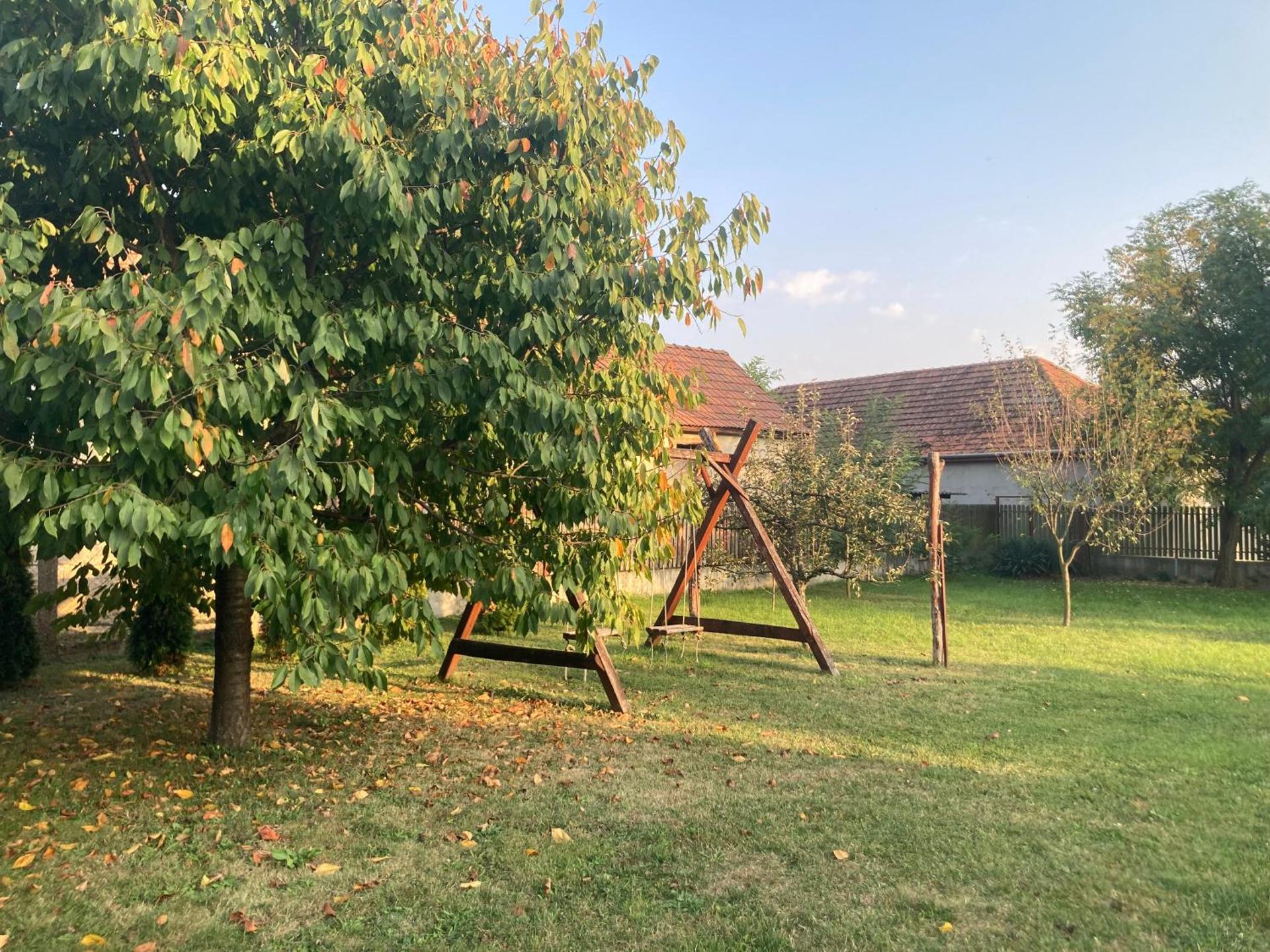 Children play ground