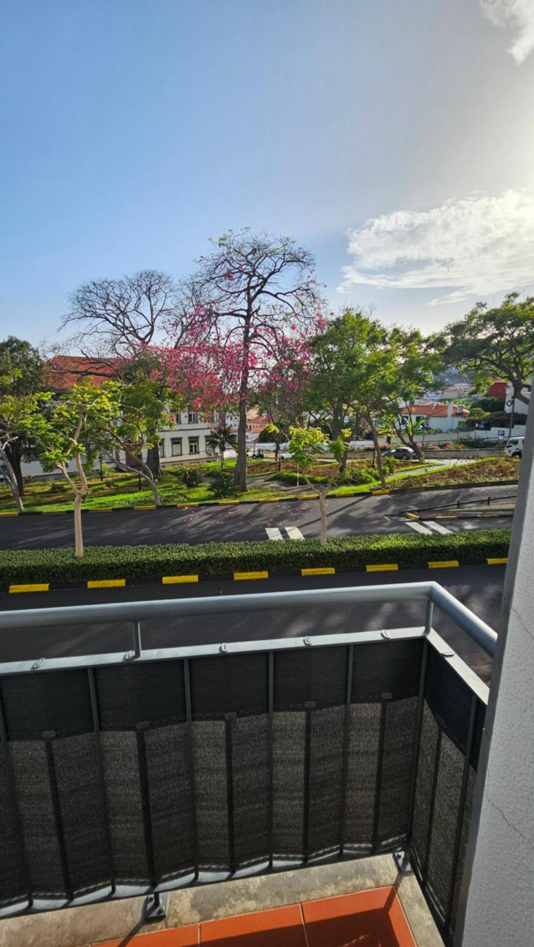 Serenity Apartment - Free Parking