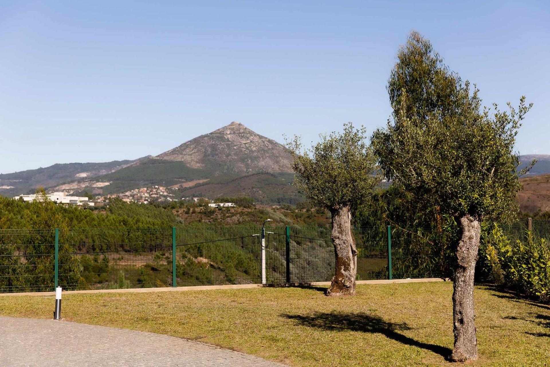 Casa dos Mirtilos Draper T6