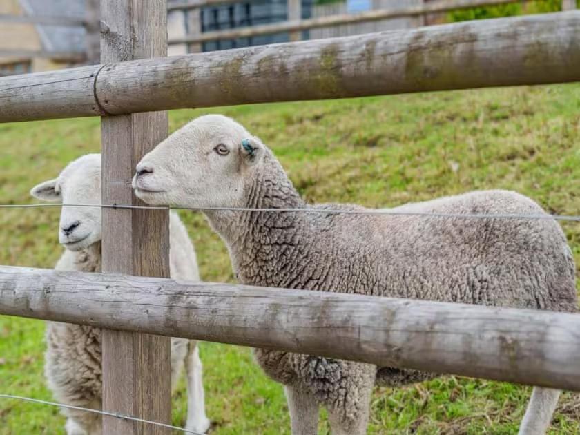 Lochinvar - Clydesdale Log Cabin with Hot Tub