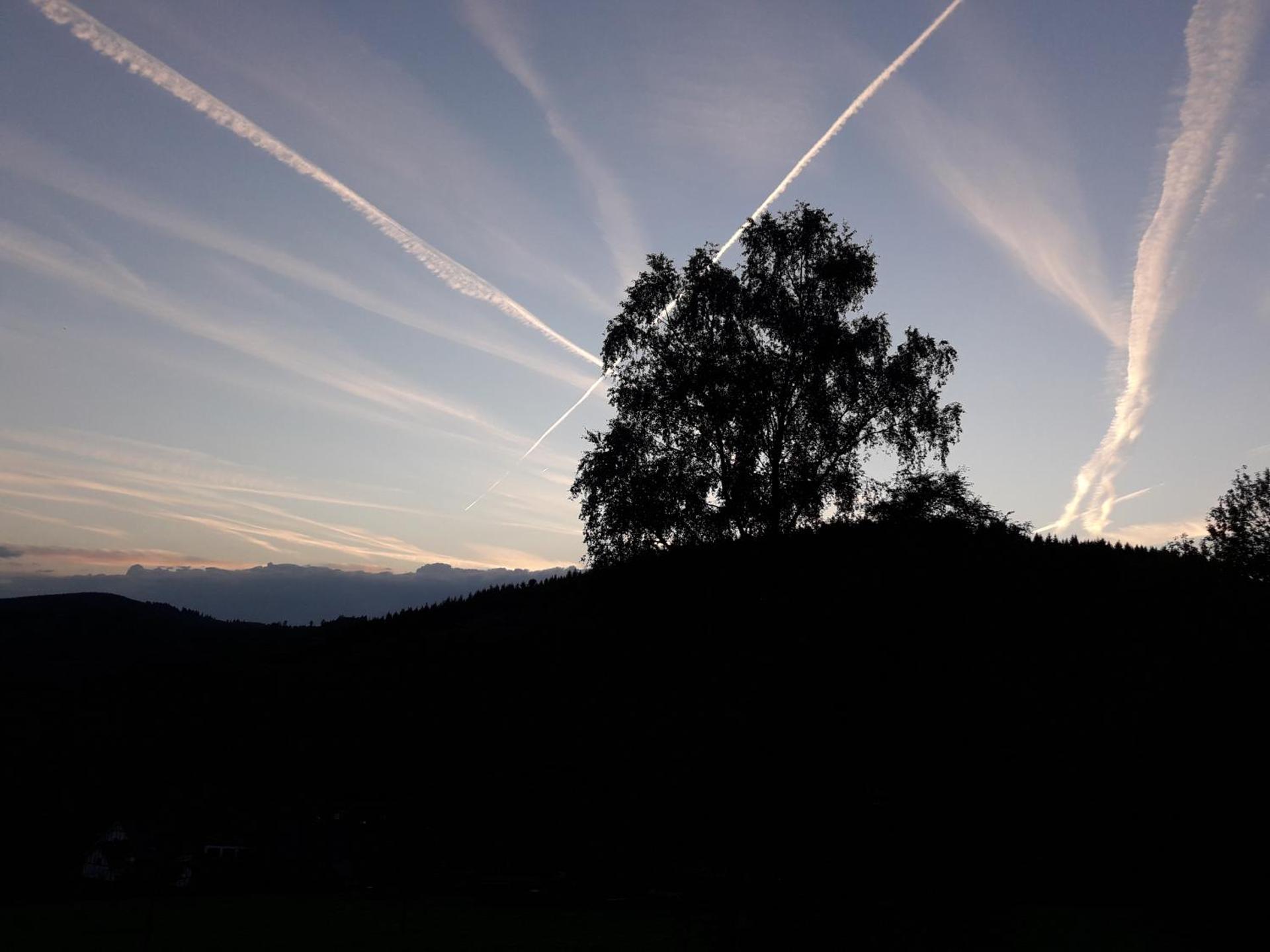 " Haus Willi " Sohlbach