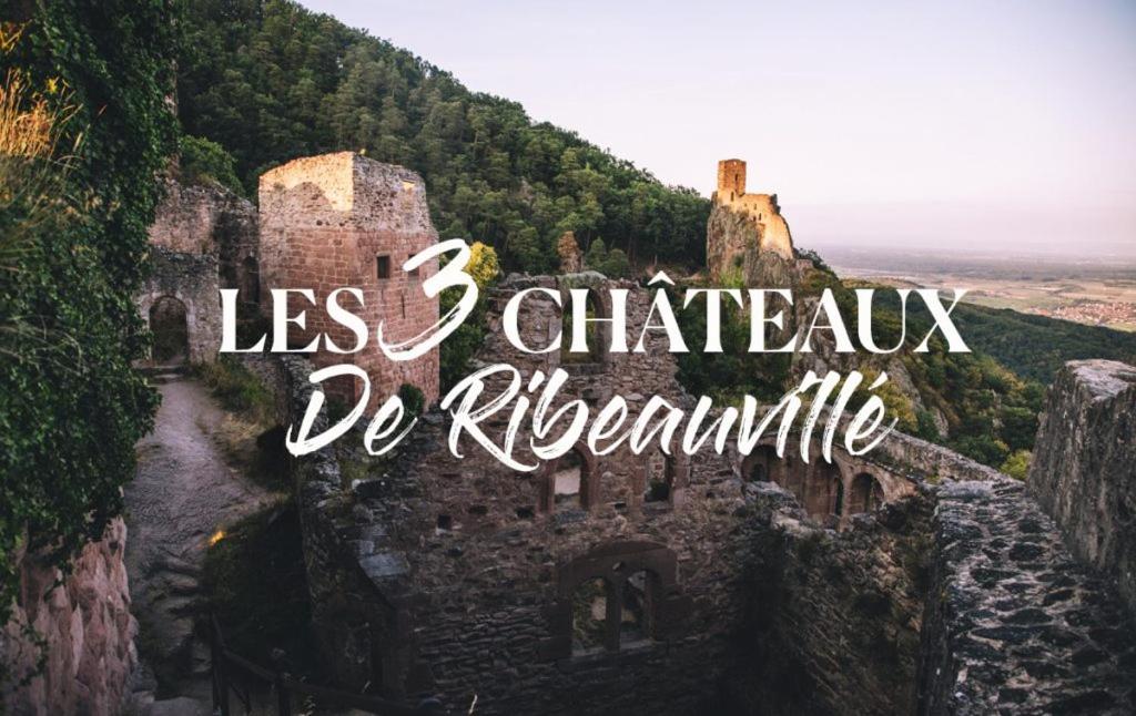 Gîte Ripcup au coeur de Ribeauvillé