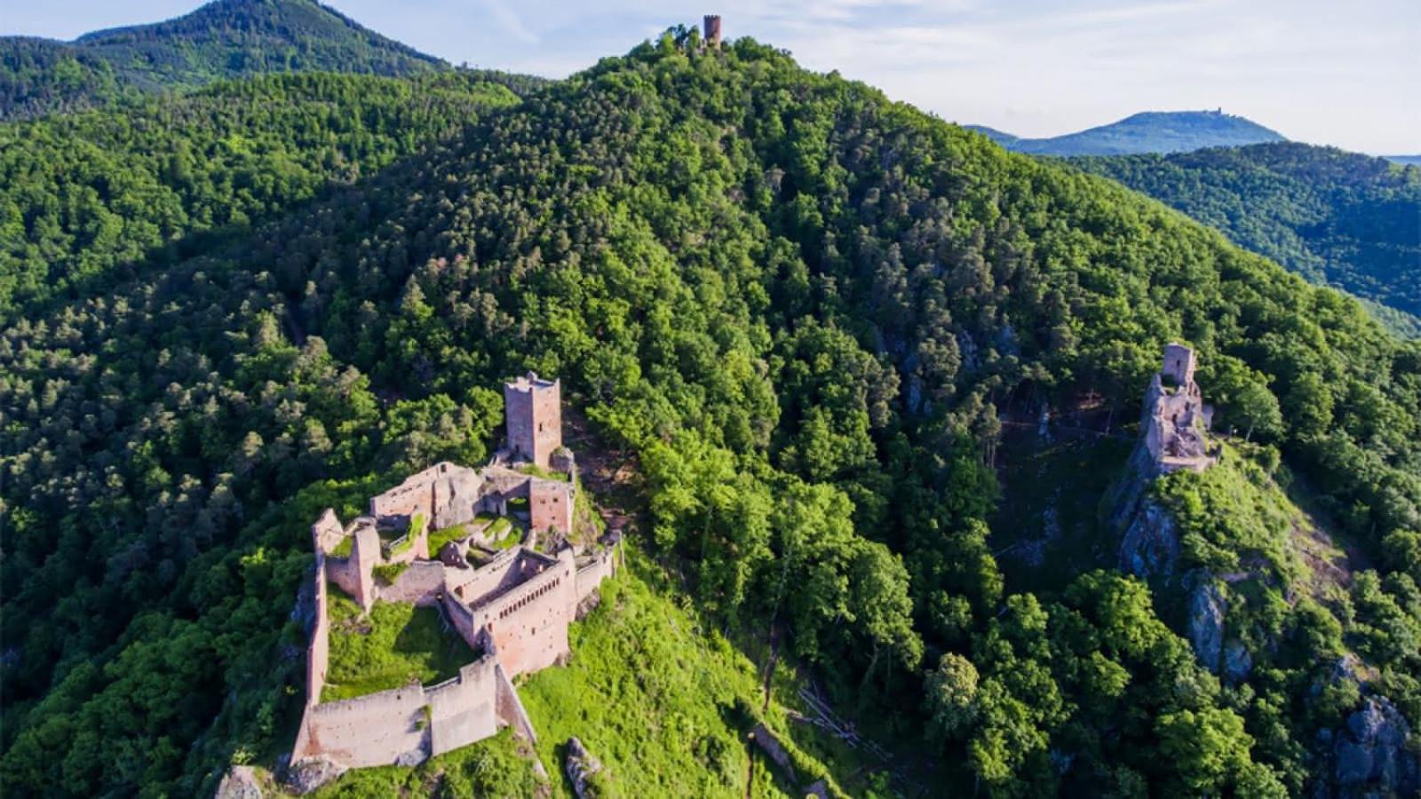 Gîte Ripcup au coeur de Ribeauvillé