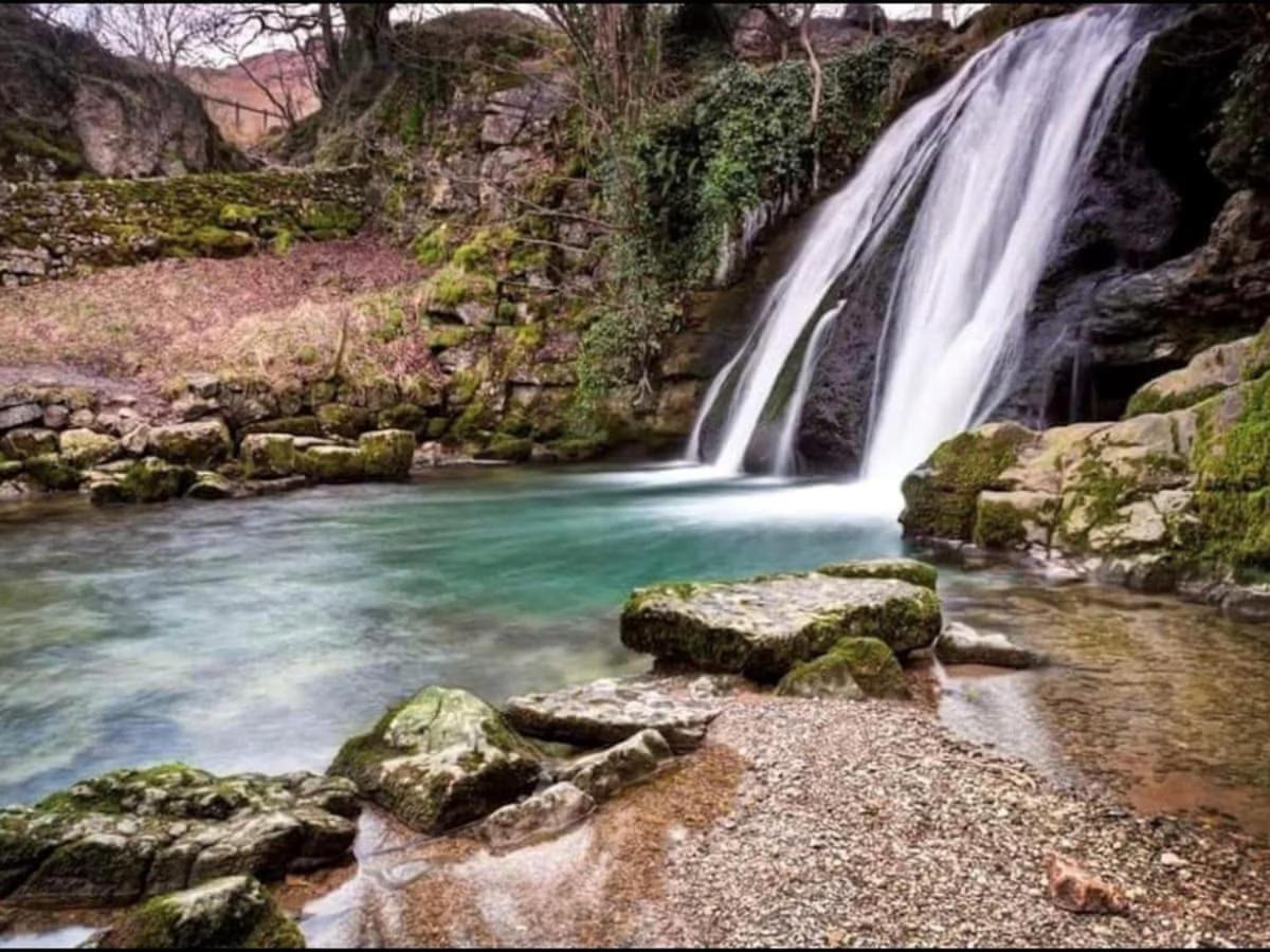 Blossom Tree Cottage