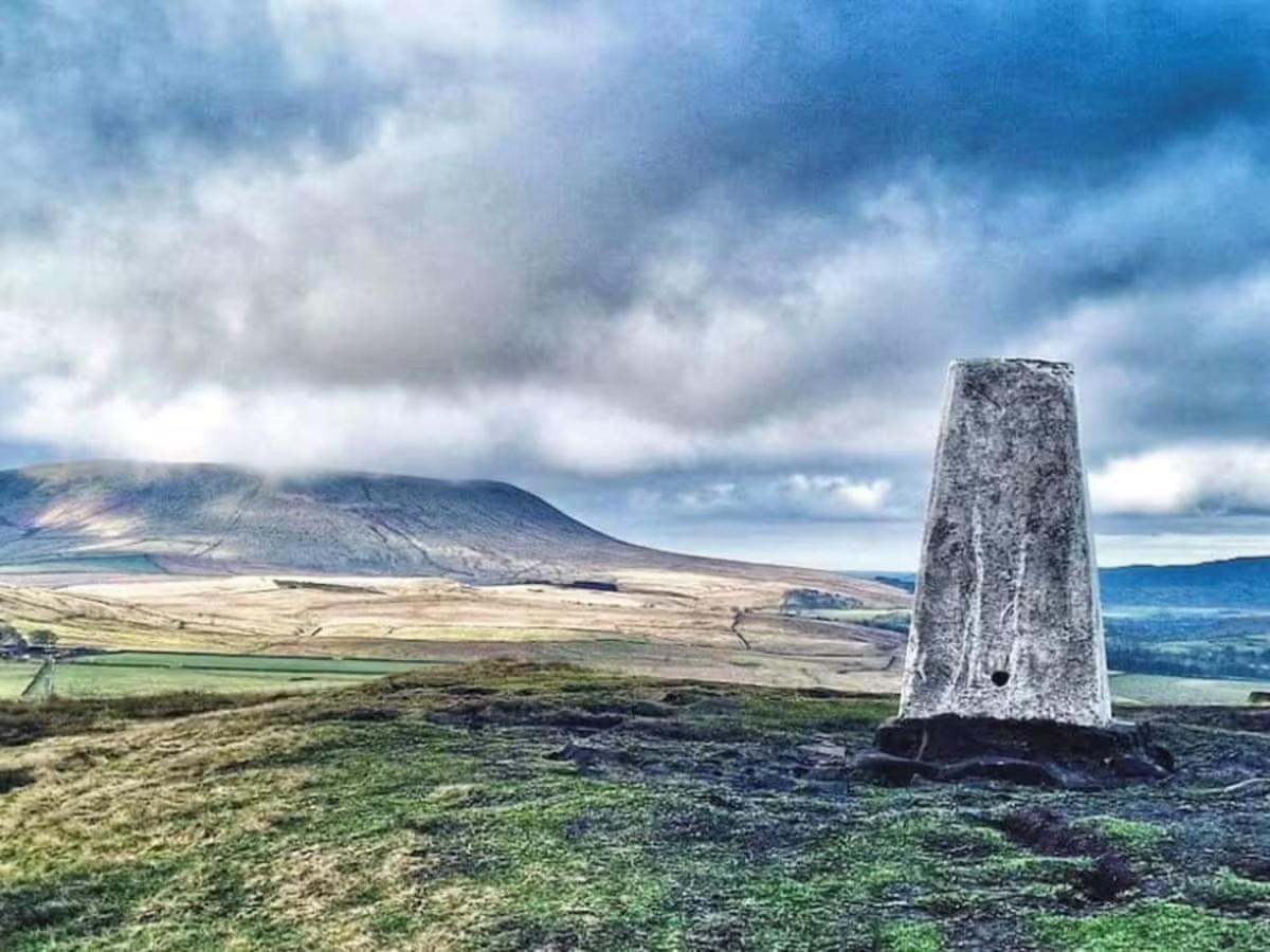 Blossom Tree Cottage