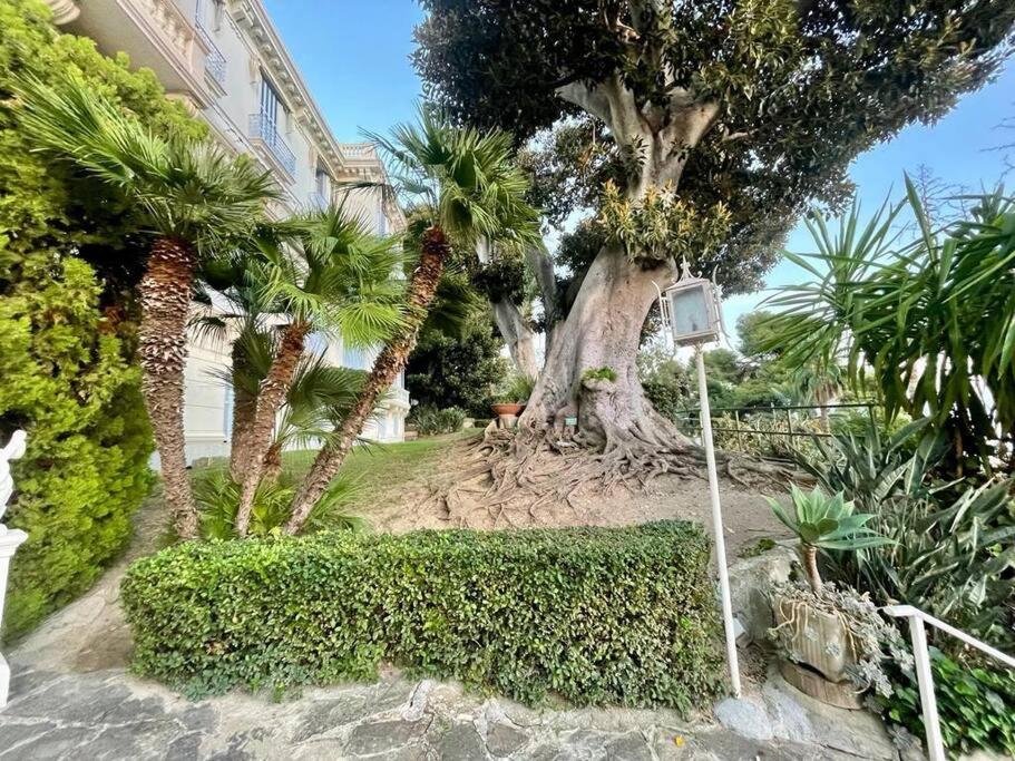 Suite Cavalieri di Rodi 6 - Ospedaletti