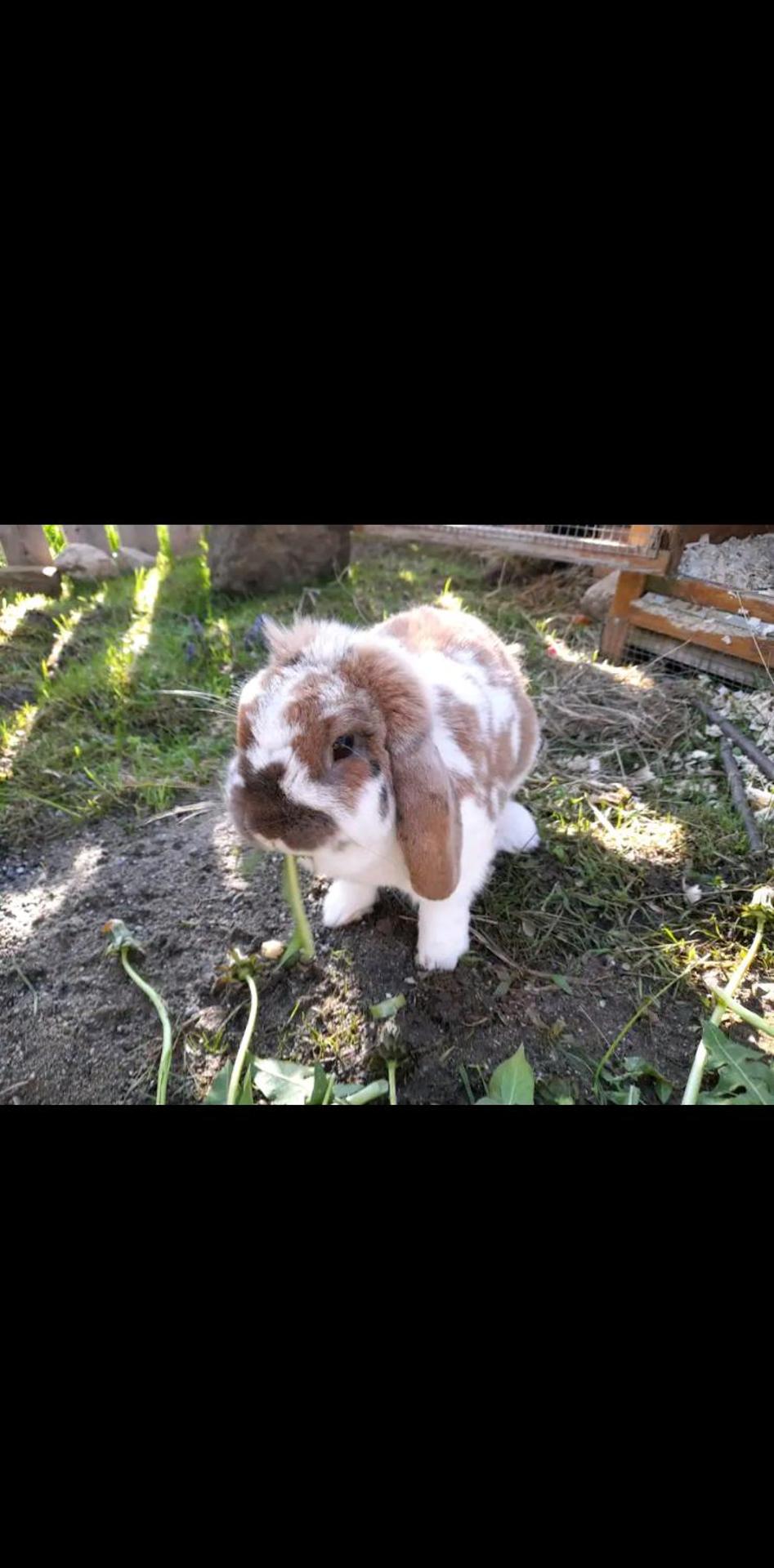Ferienwohnung im alten Milchwerk