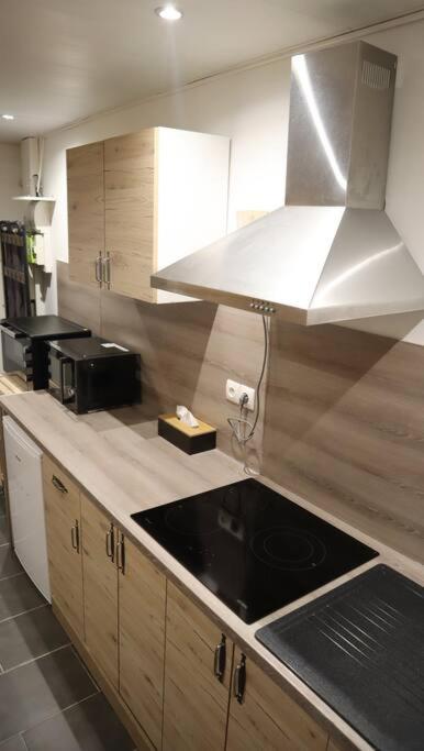 Maison atypique, centre-ville 2+2 pers Sauna IR