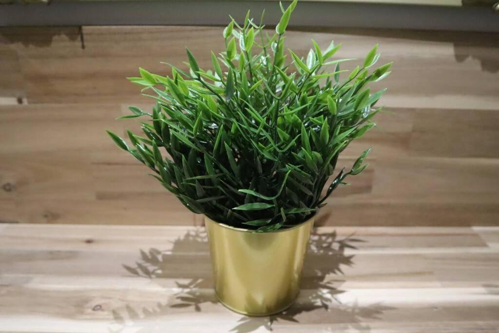 Maison atypique, centre-ville 2+2 pers Sauna IR