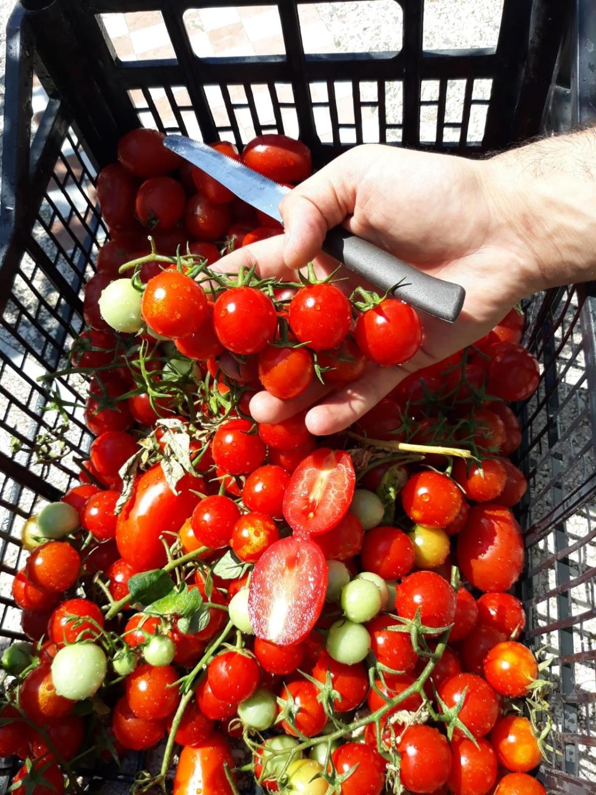 Agriturismo il Pettirosso