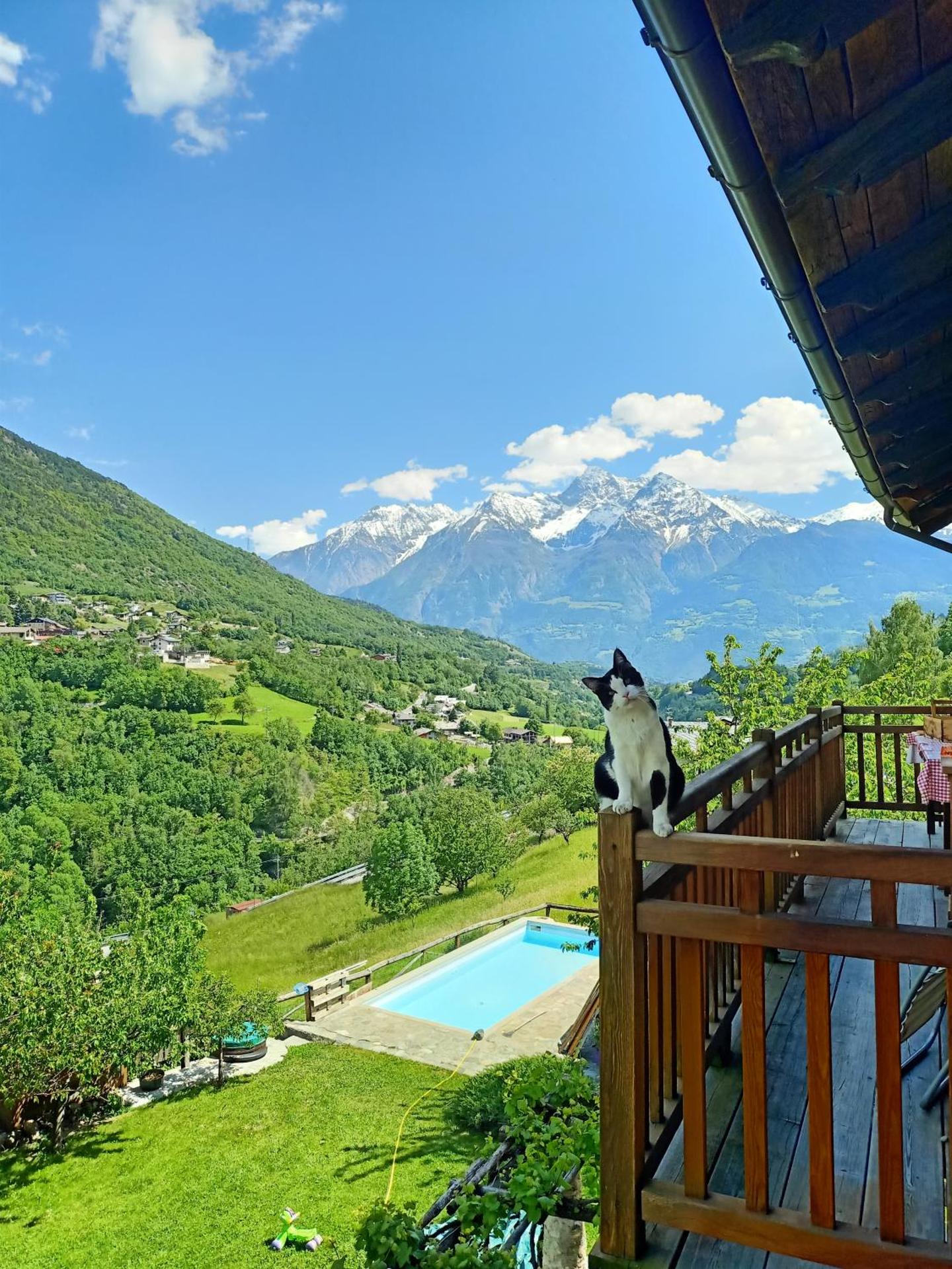 View (from property/room)