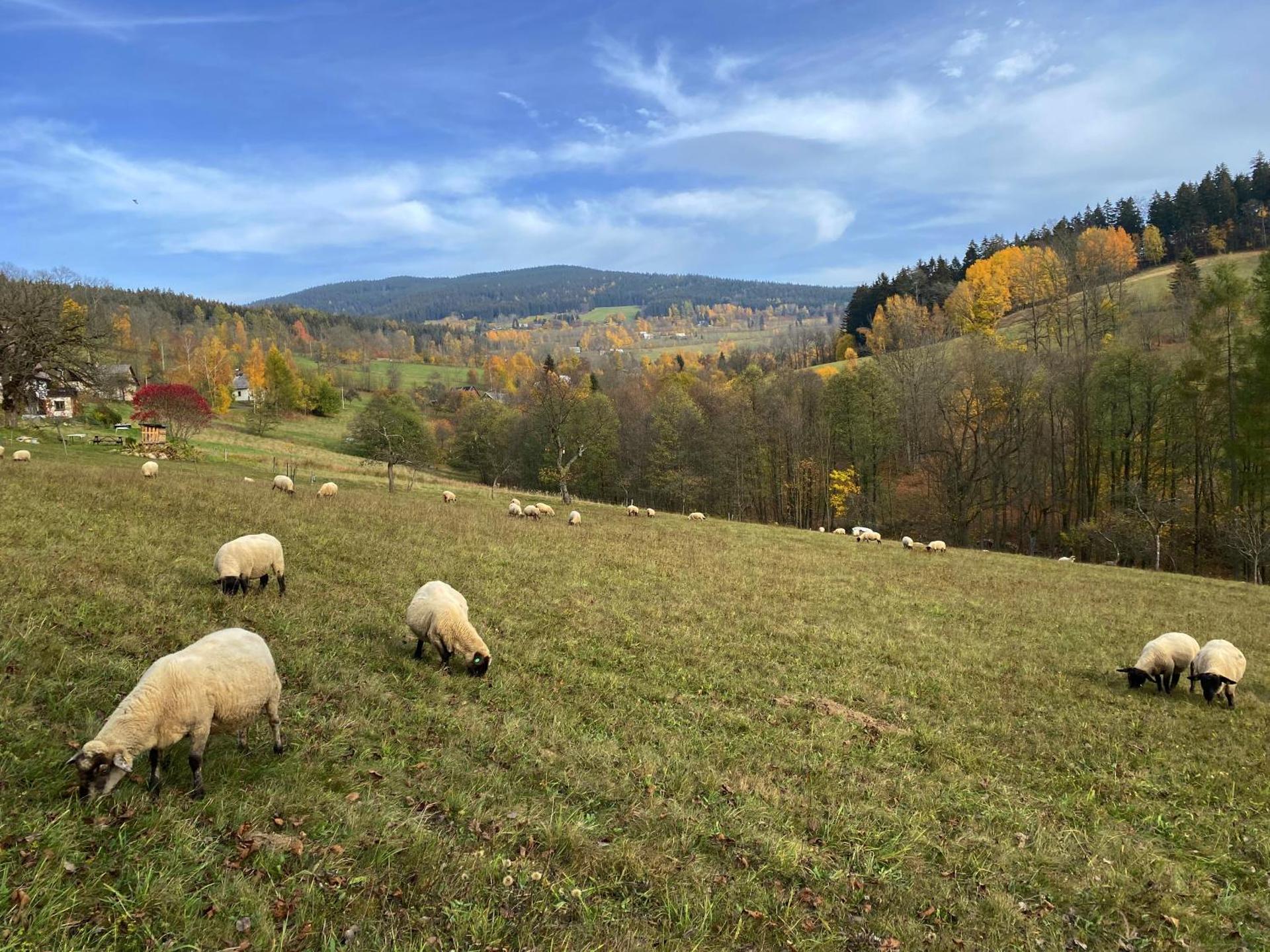 Krkonošský apartmán Bratrouchov