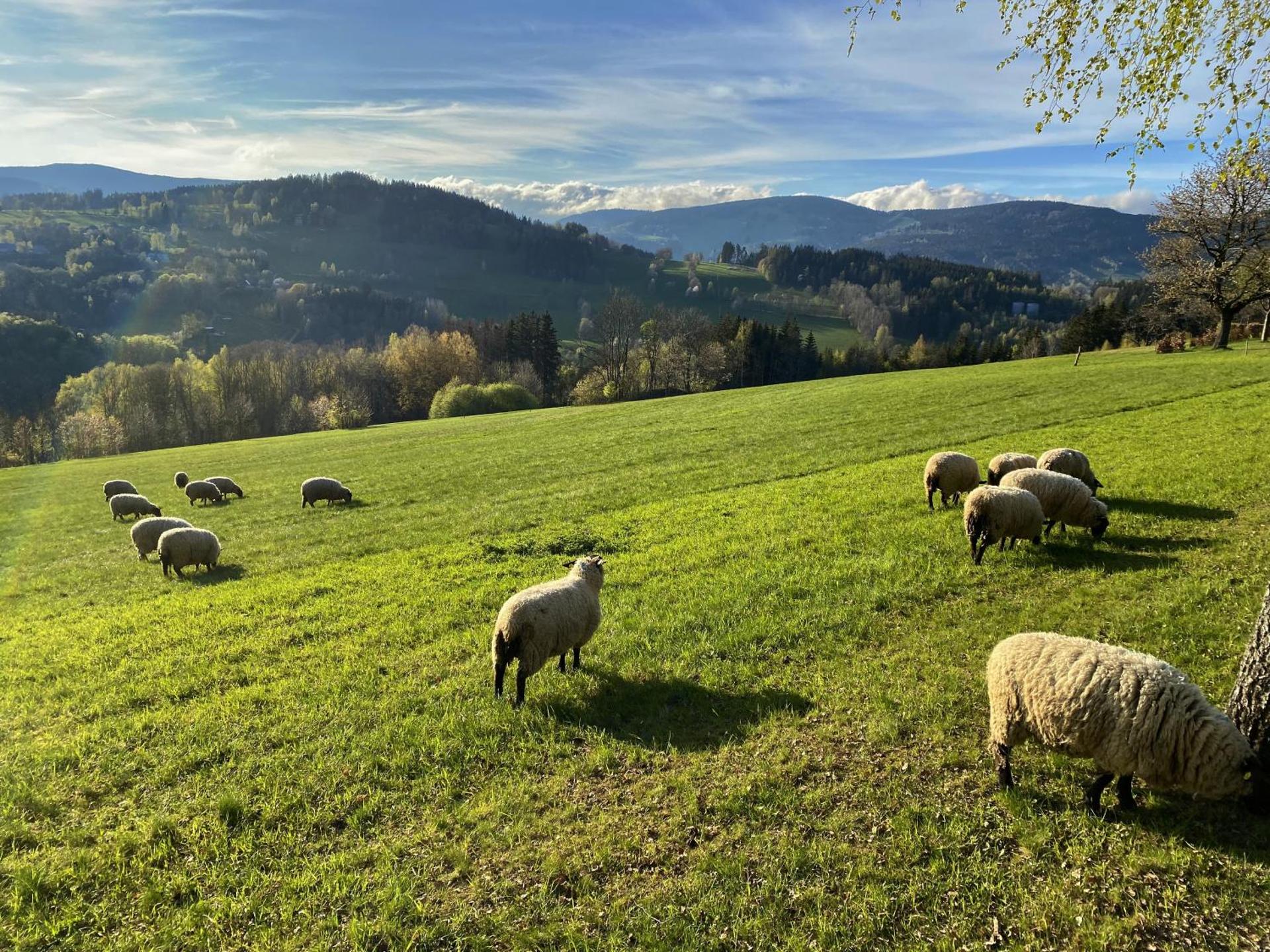 Krkonošský apartmán Bratrouchov