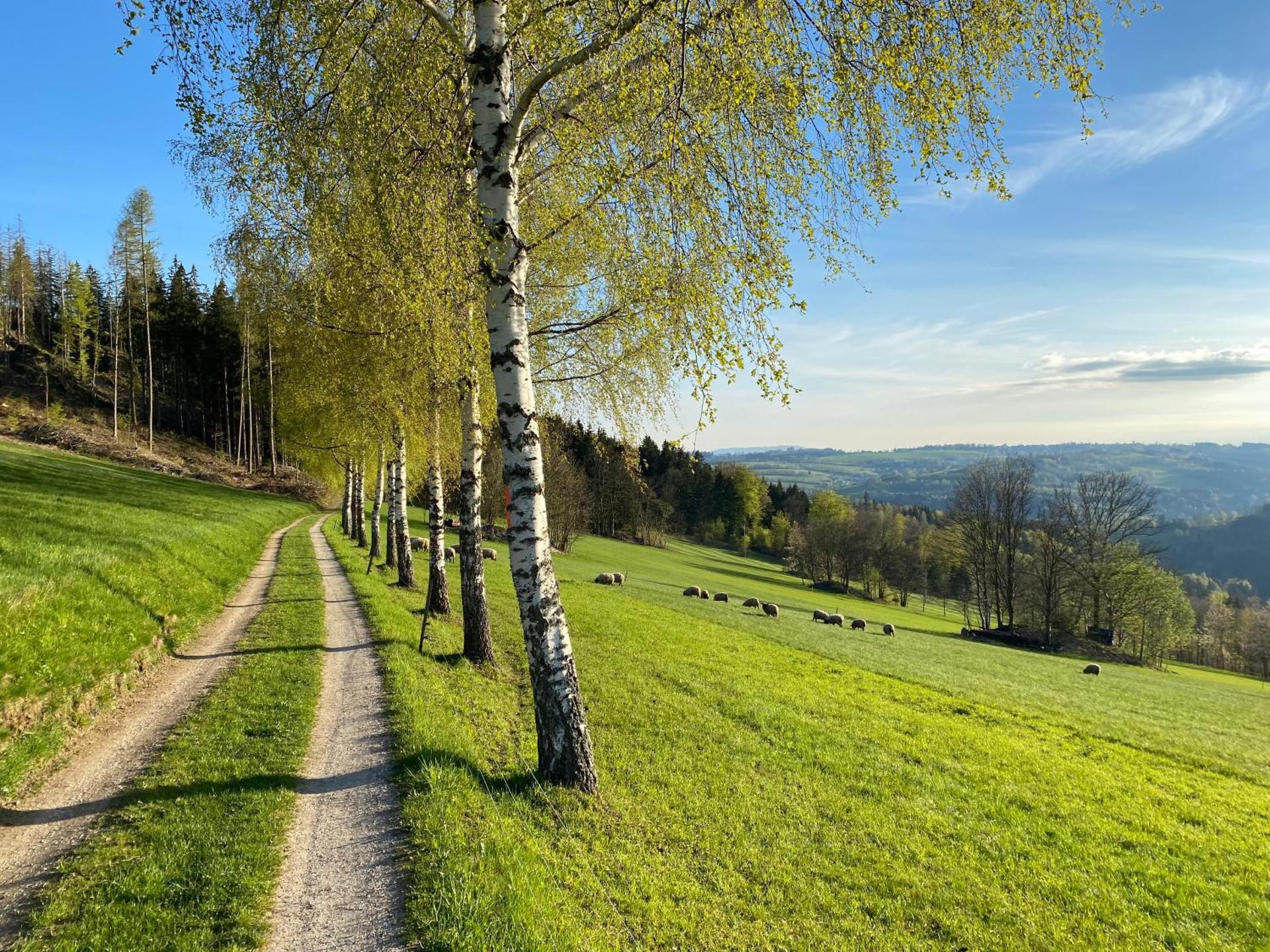 Krkonošský apartmán Bratrouchov