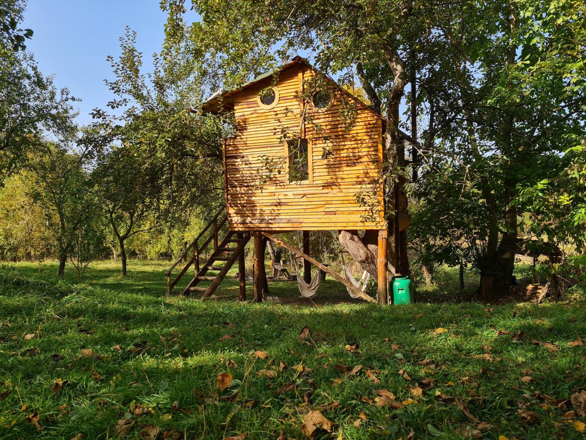 Apple Tree Cabin (Friendship Land)