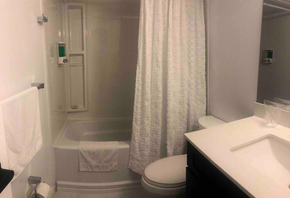 3 Spacious Bedroom Basement Apartment in Richmond Hill