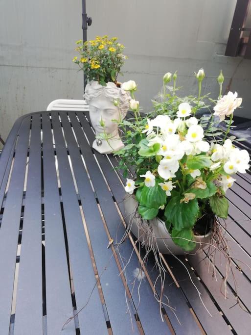 Wohnung Elisabeth - Parkblick - Am Buhl'schen Park 40 - zentrumsnah