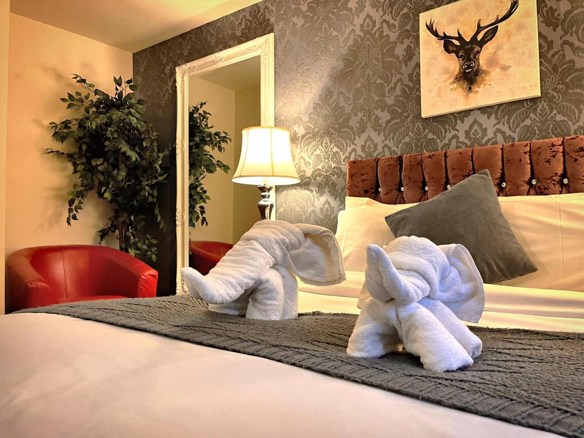 Snug hut 5-Hot Tub-Woodland Lodges-Pembrokshire-Tenby