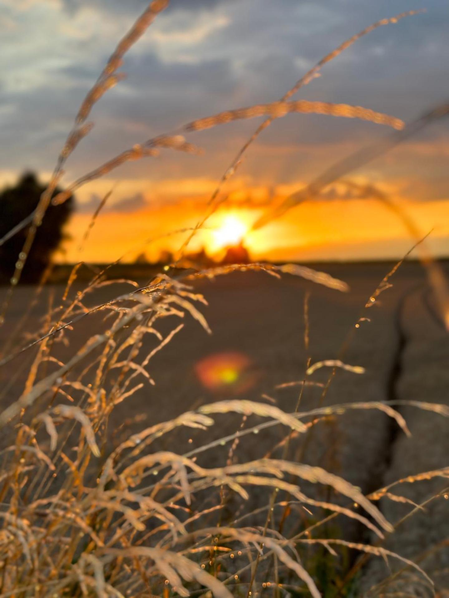De Verborgen Parel B&B