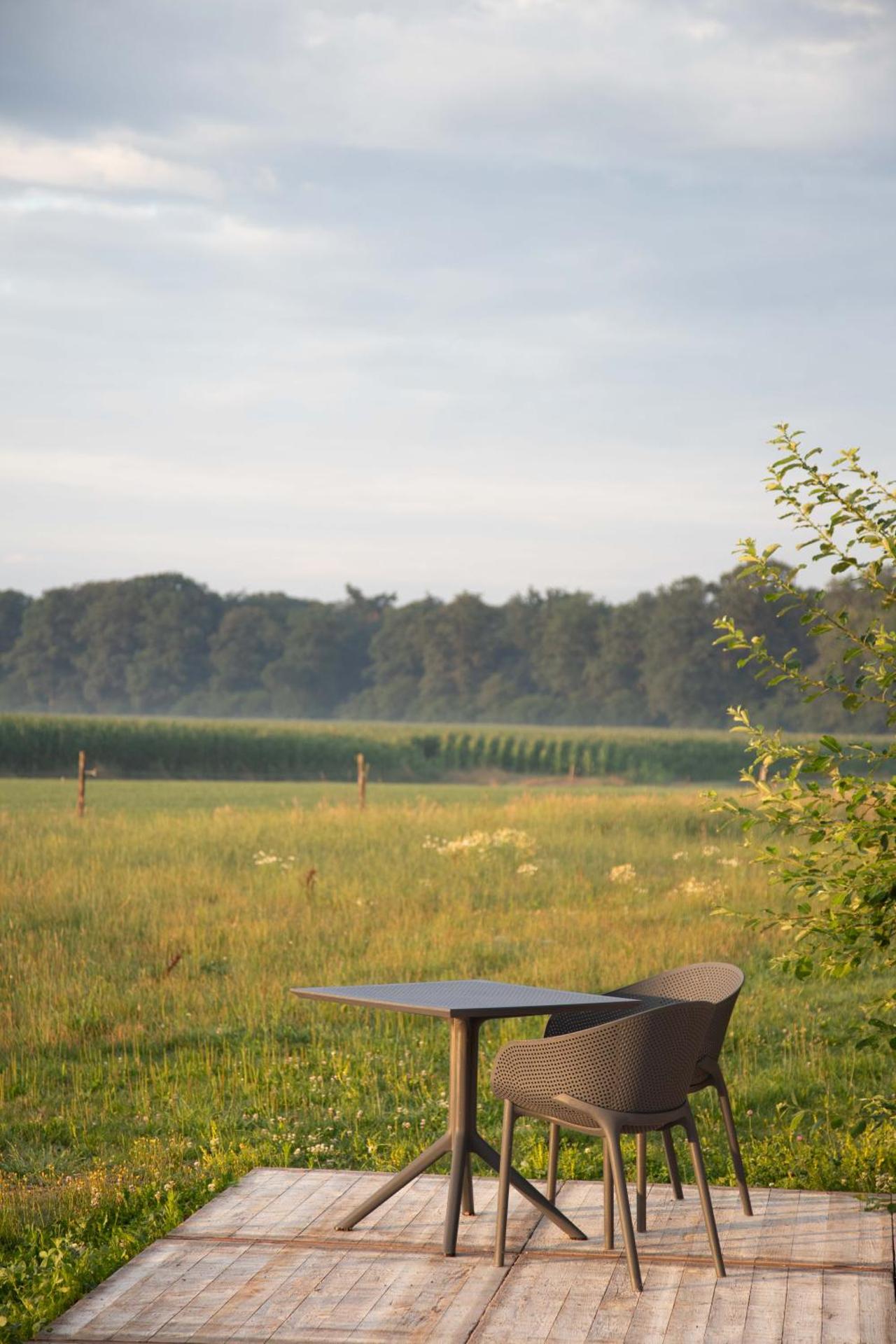 The Cat and The Owl B&B