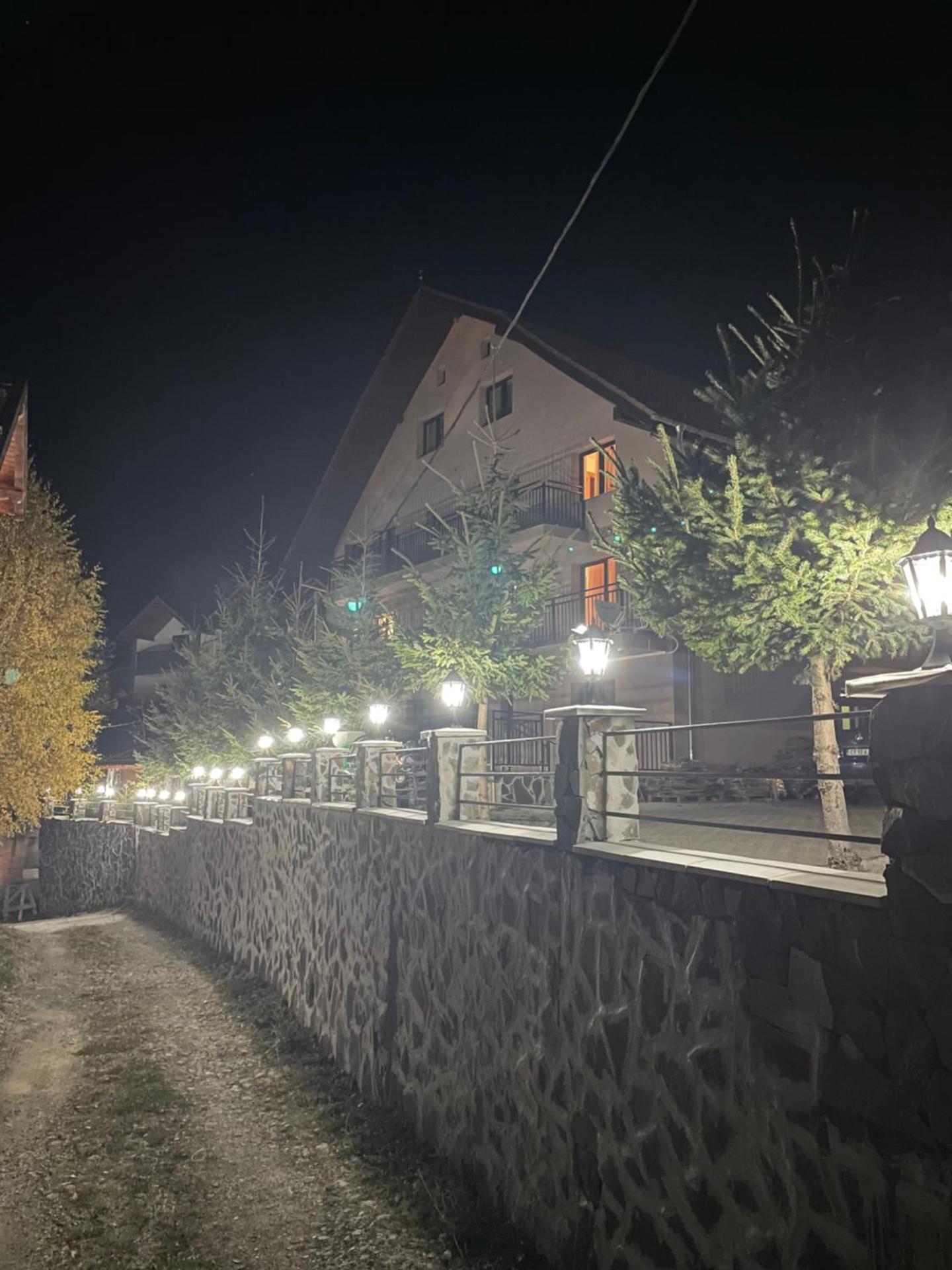 Pensiunea Joe Paltinis