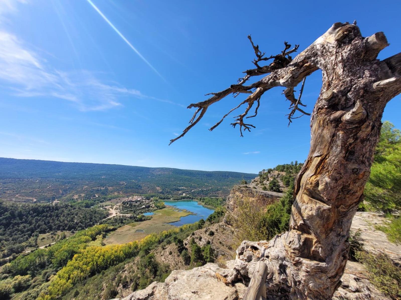 Aventura & Relax Cabañas Peña la Higuera