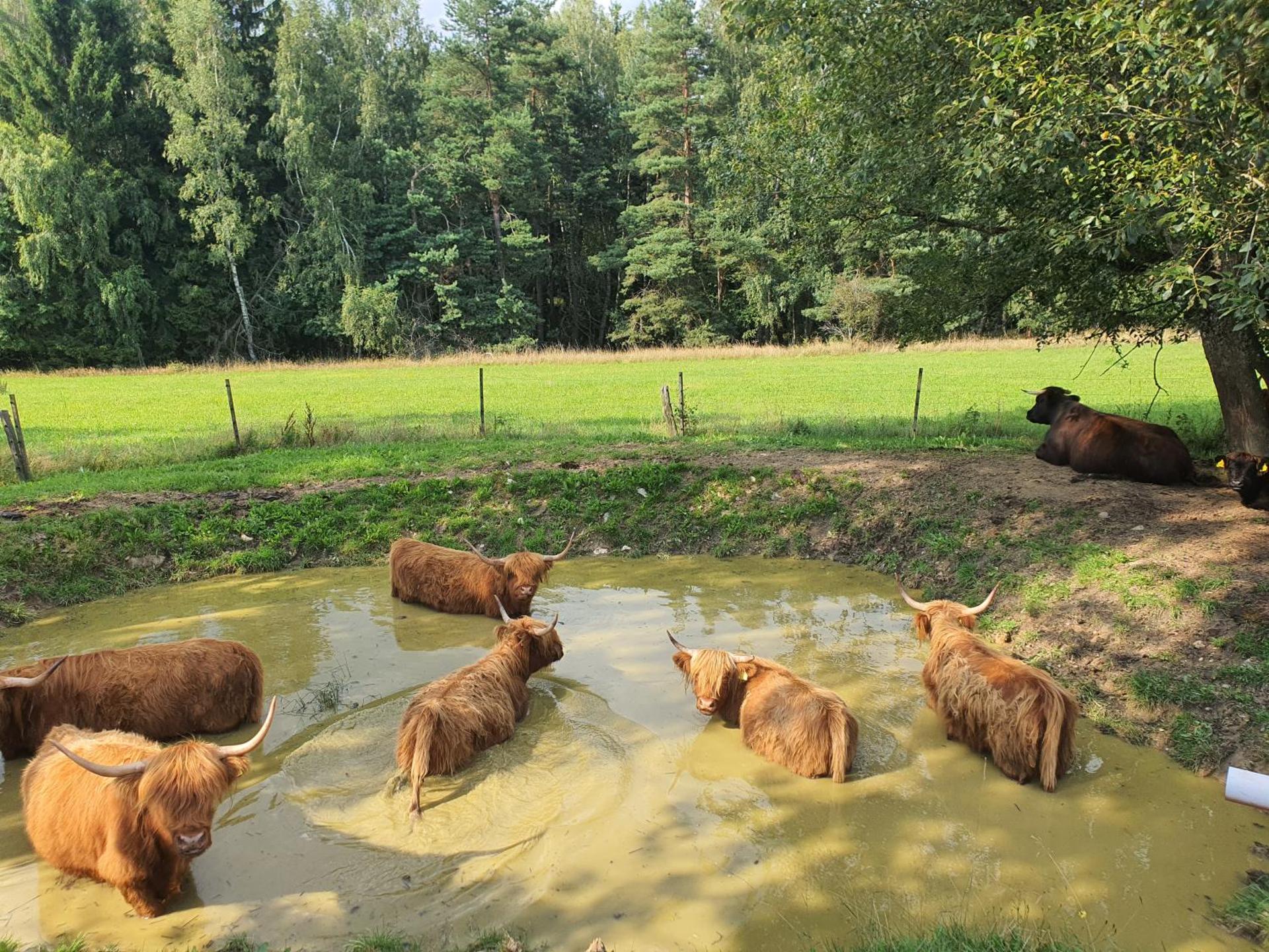 Farma Horní Paseky u Aše