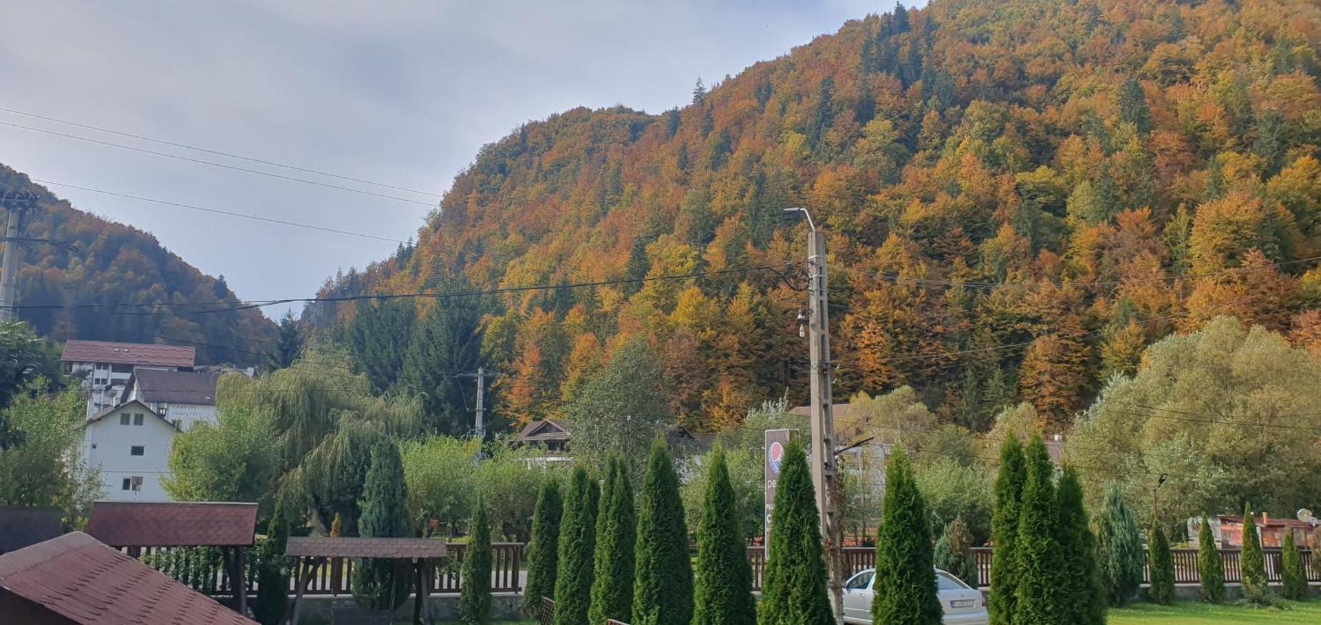 Pensiunea Cezar-Codrin