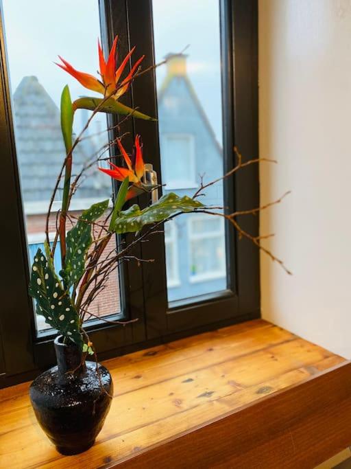 City-beach apartment nearby Amsterdam