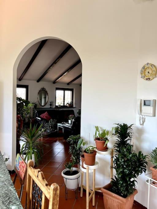 Apartment in Villa La Carruba