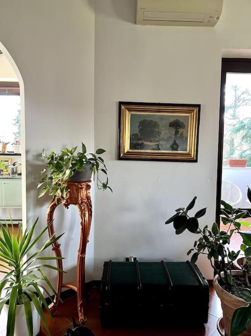 Apartment in Villa La Carruba