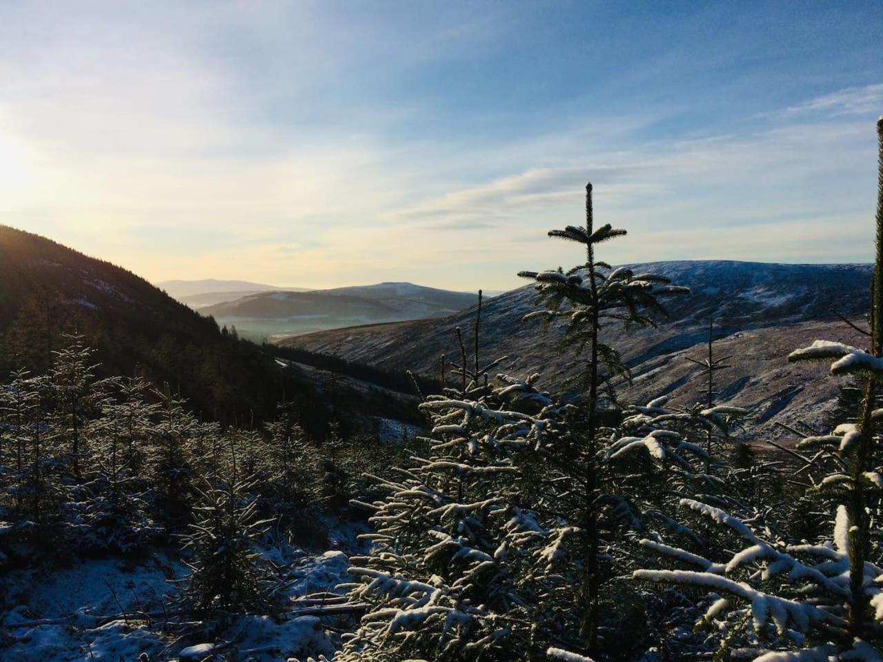 Aughavannagh Yurt Glamping