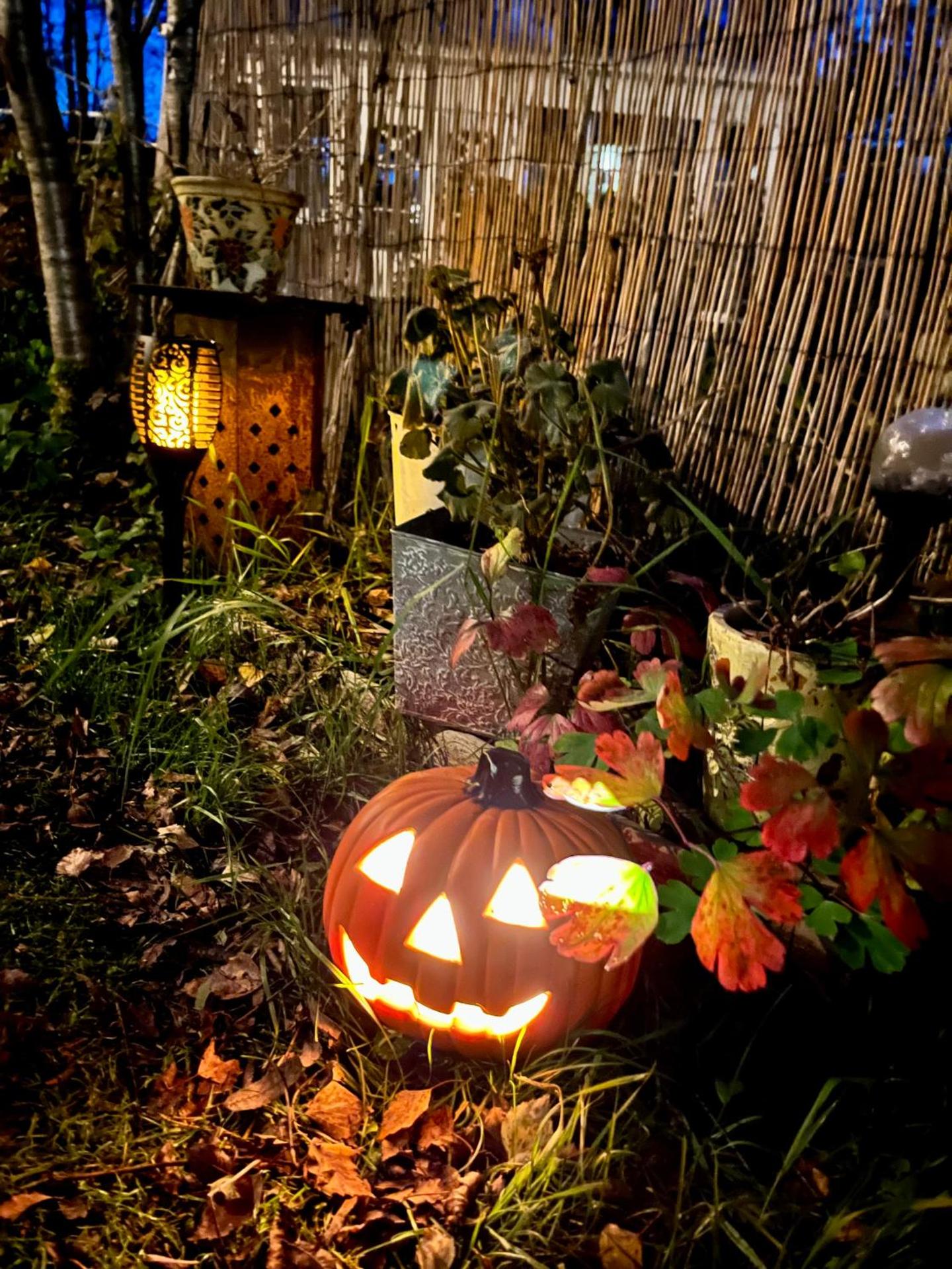 15 min från Ullared! Ny stuga med hög standard!